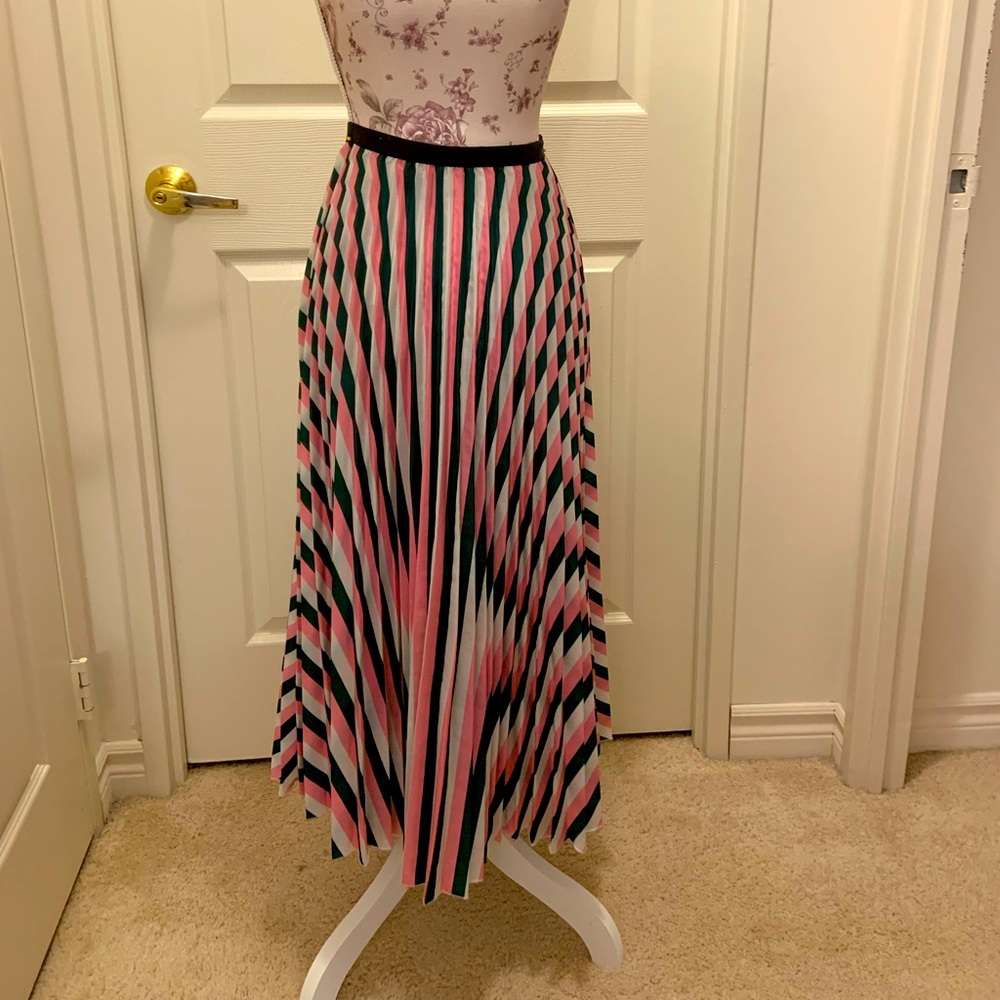 Long length pleated skirt. NWOT
